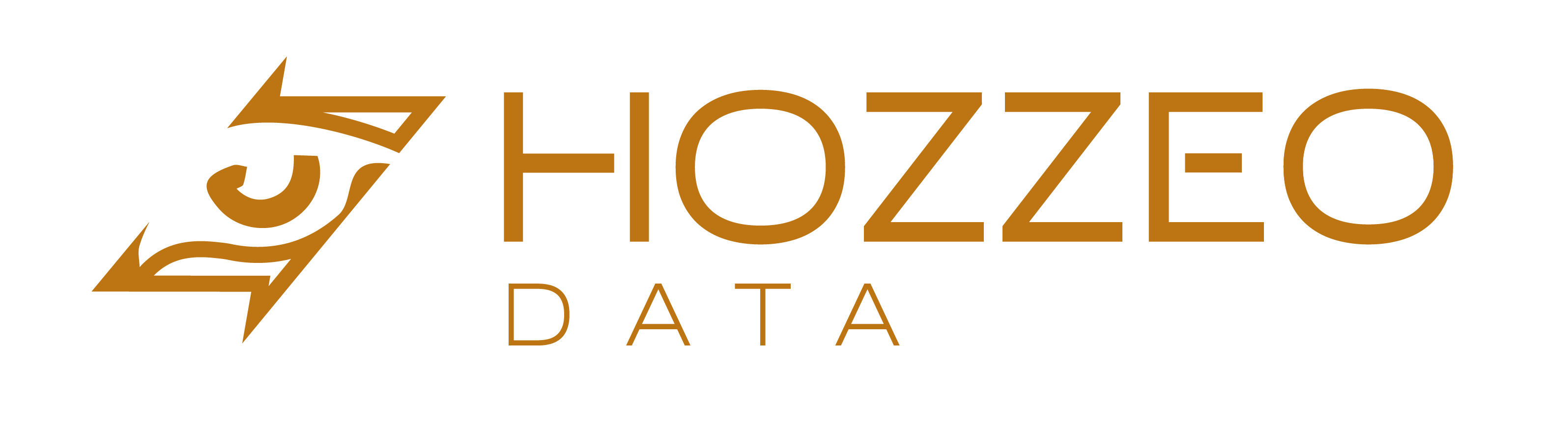 Logo Hozzeo Data